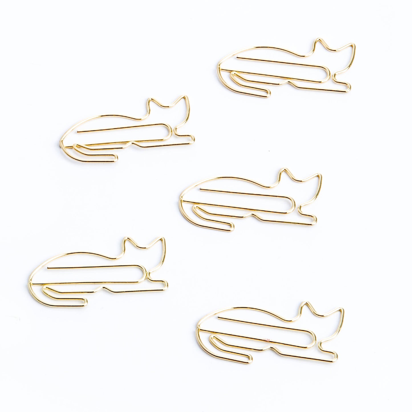 Paper Clips Cats, Dog, Space & Cactus