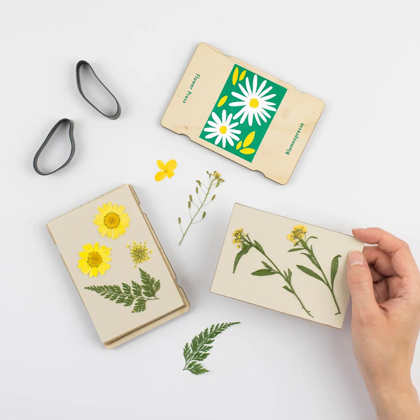 Studio Wald Pocket Flower Press - Daisy