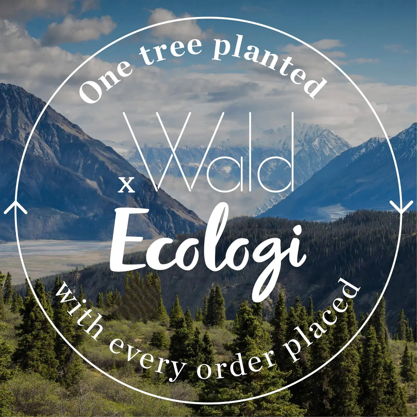 Studio Wald Plant Hanger