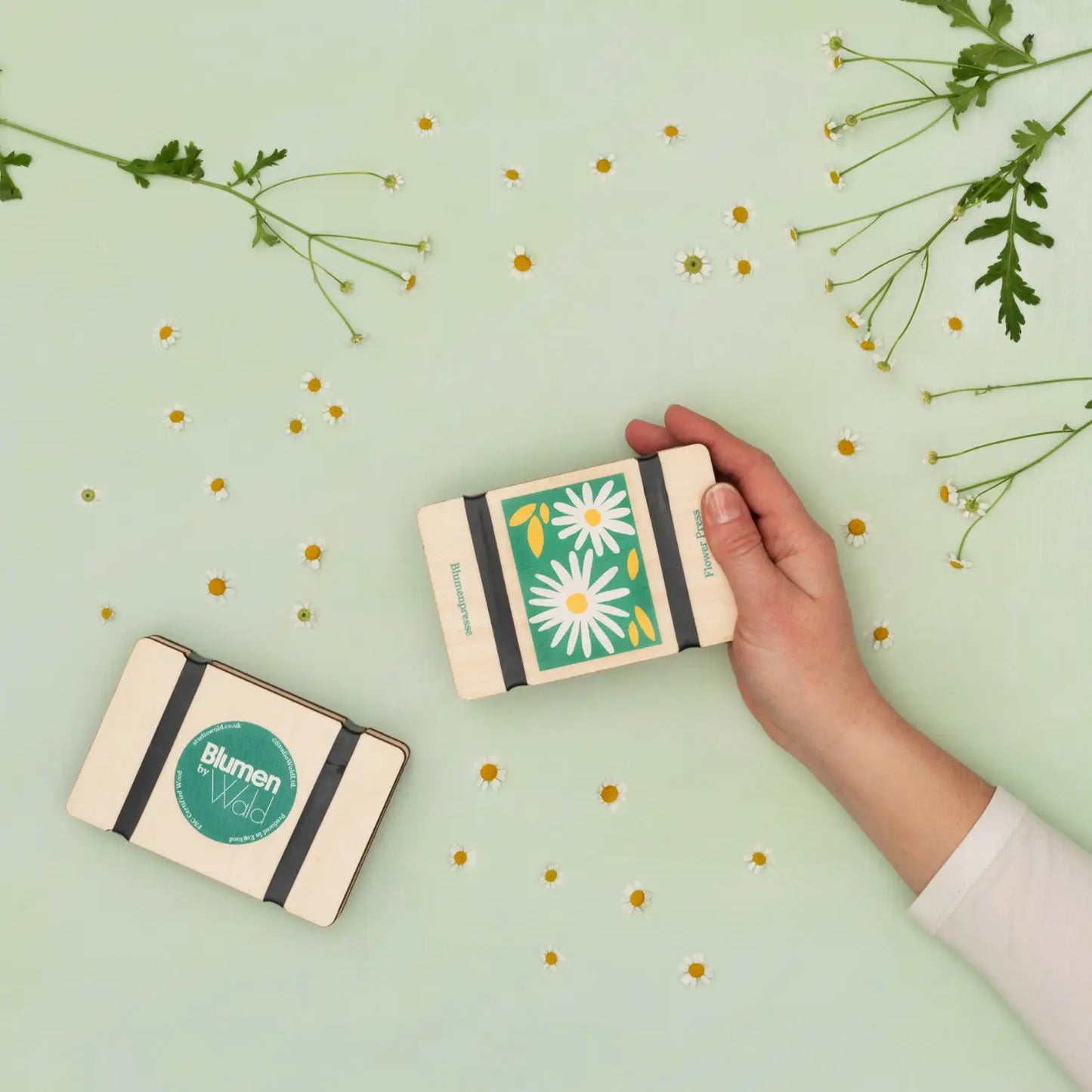 Studio Wald Pocket Flower Press - Daisy