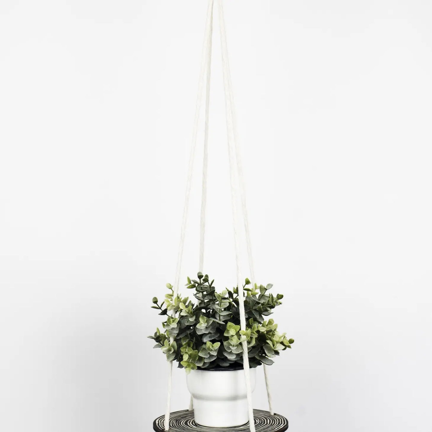 Studio Wald Plant Hanger