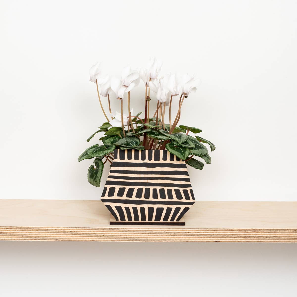 Pot Screen - Cubes