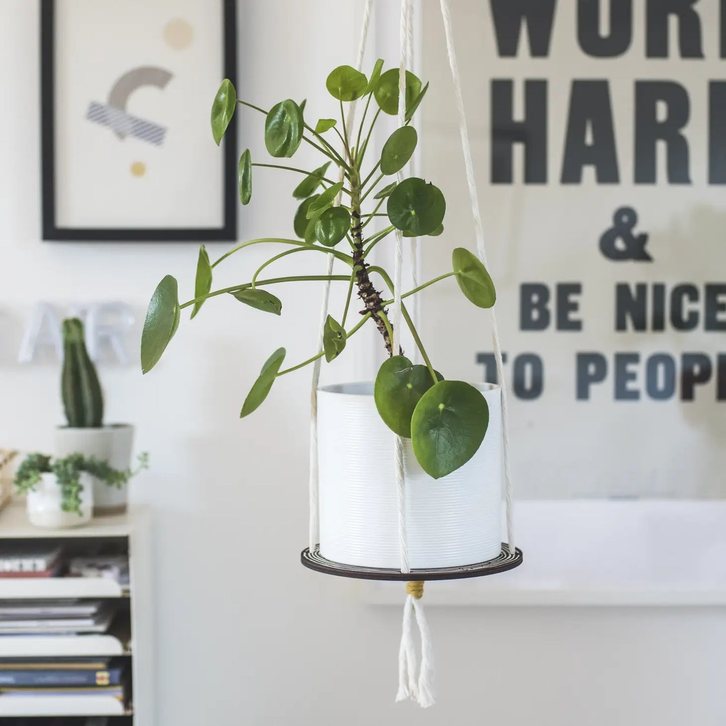 Studio Wald Plant Hanger