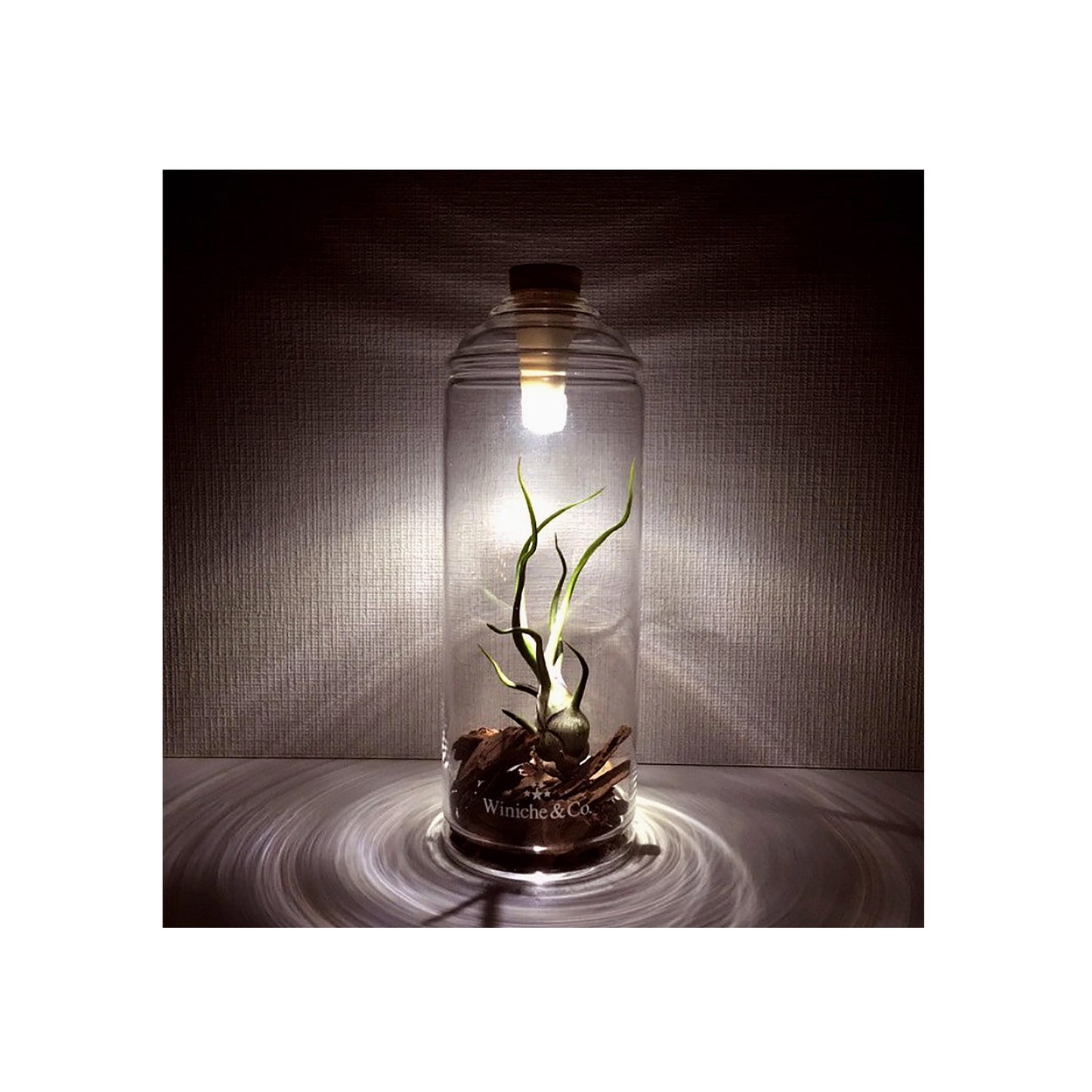 Bottle Light USB - Rechargeable