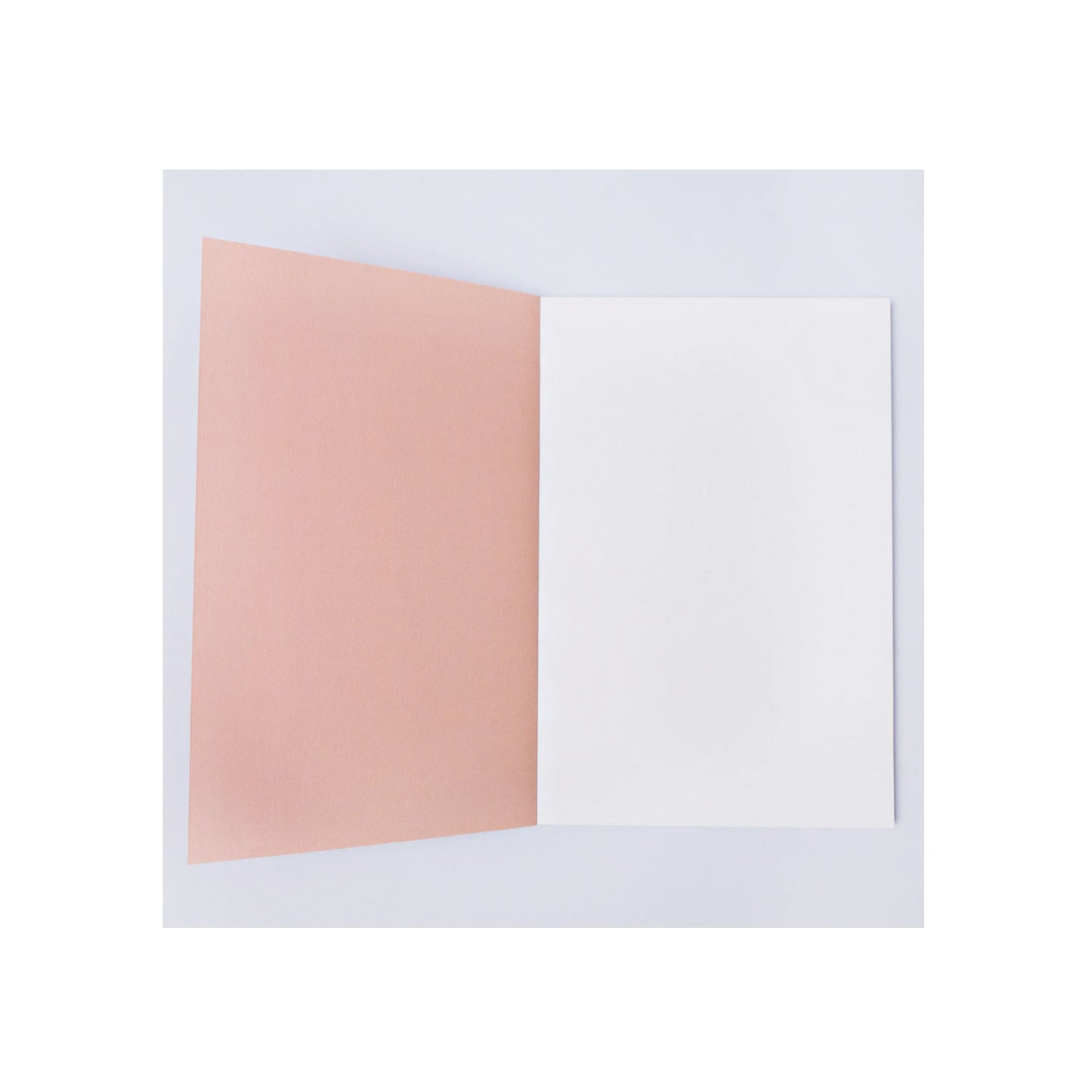 Burnt Peach Shadow Brush Lay Flat Dotted Notebook