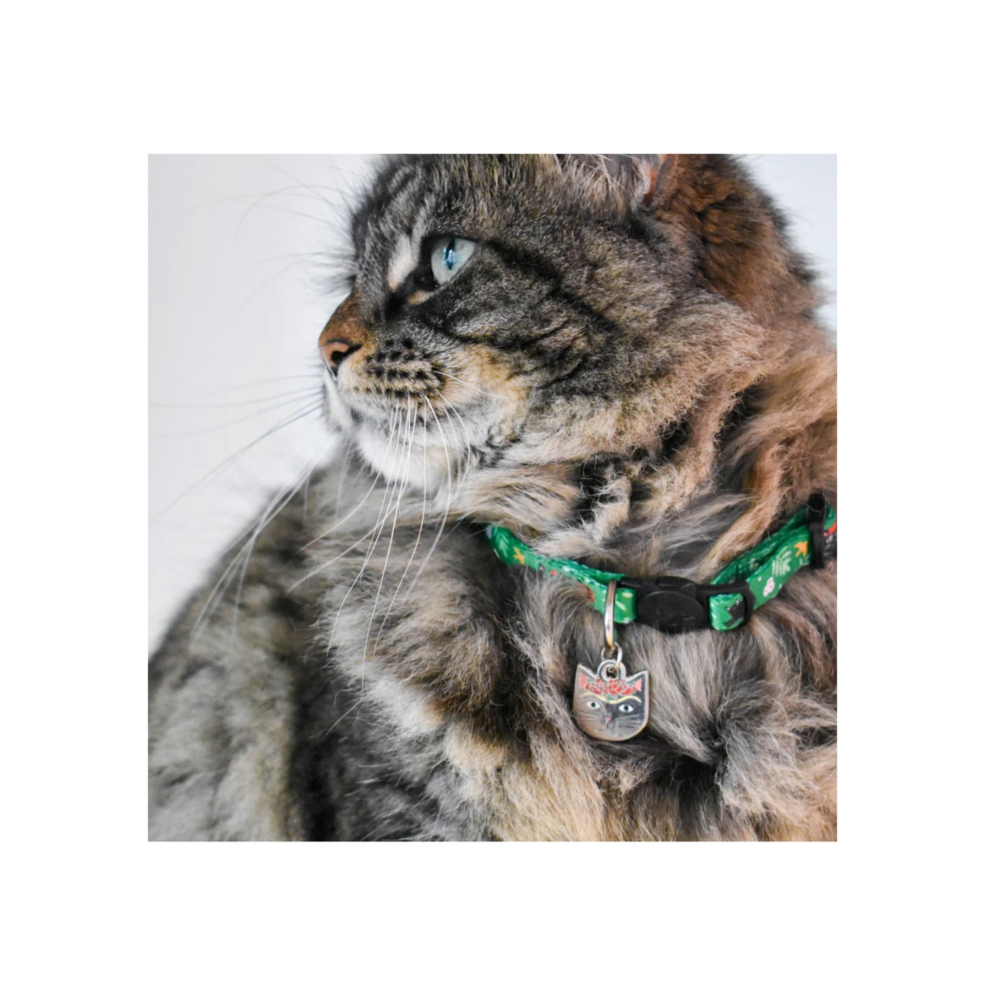 Frida Catlo Artist Cat Collar