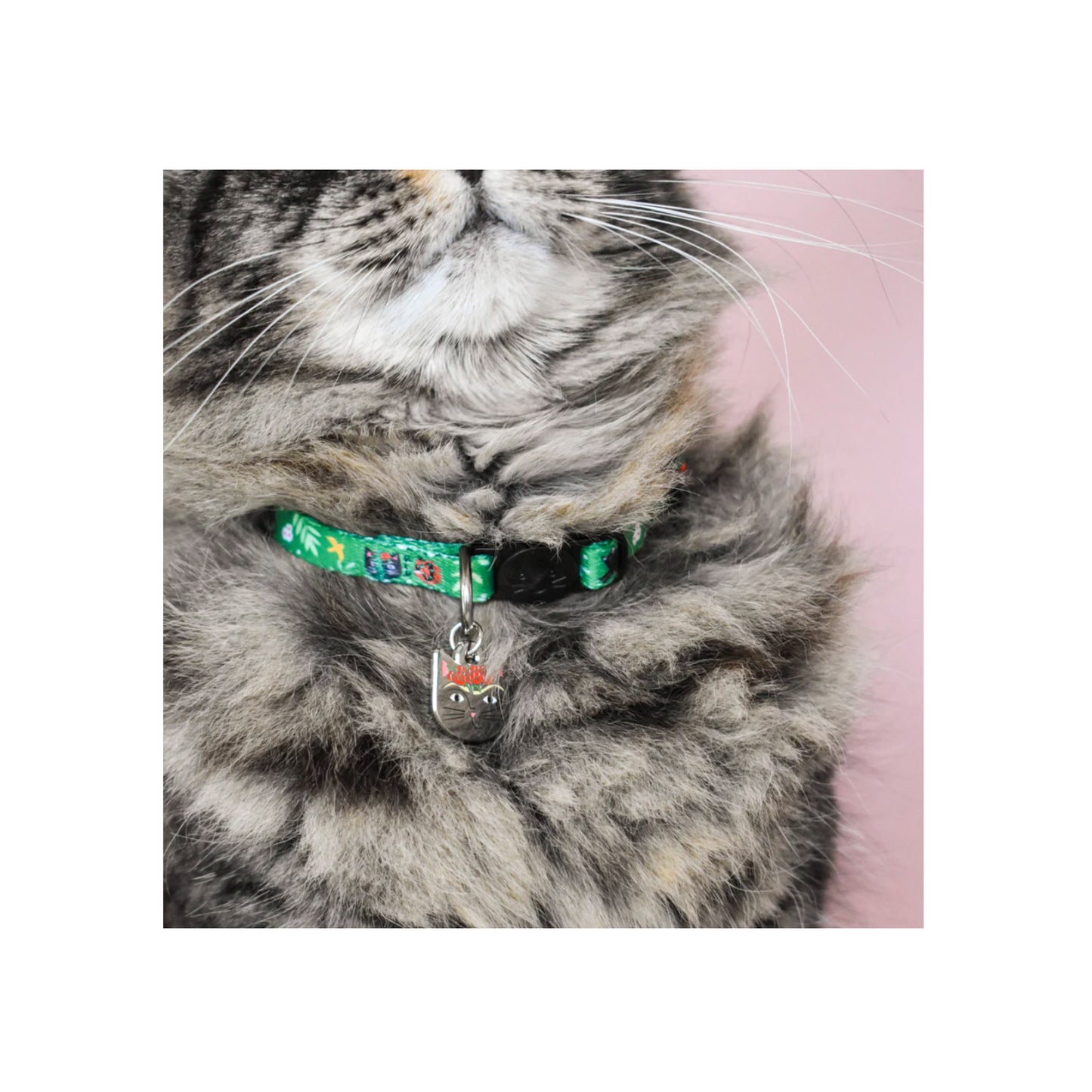 Frida Catlo Artist Cat Collar