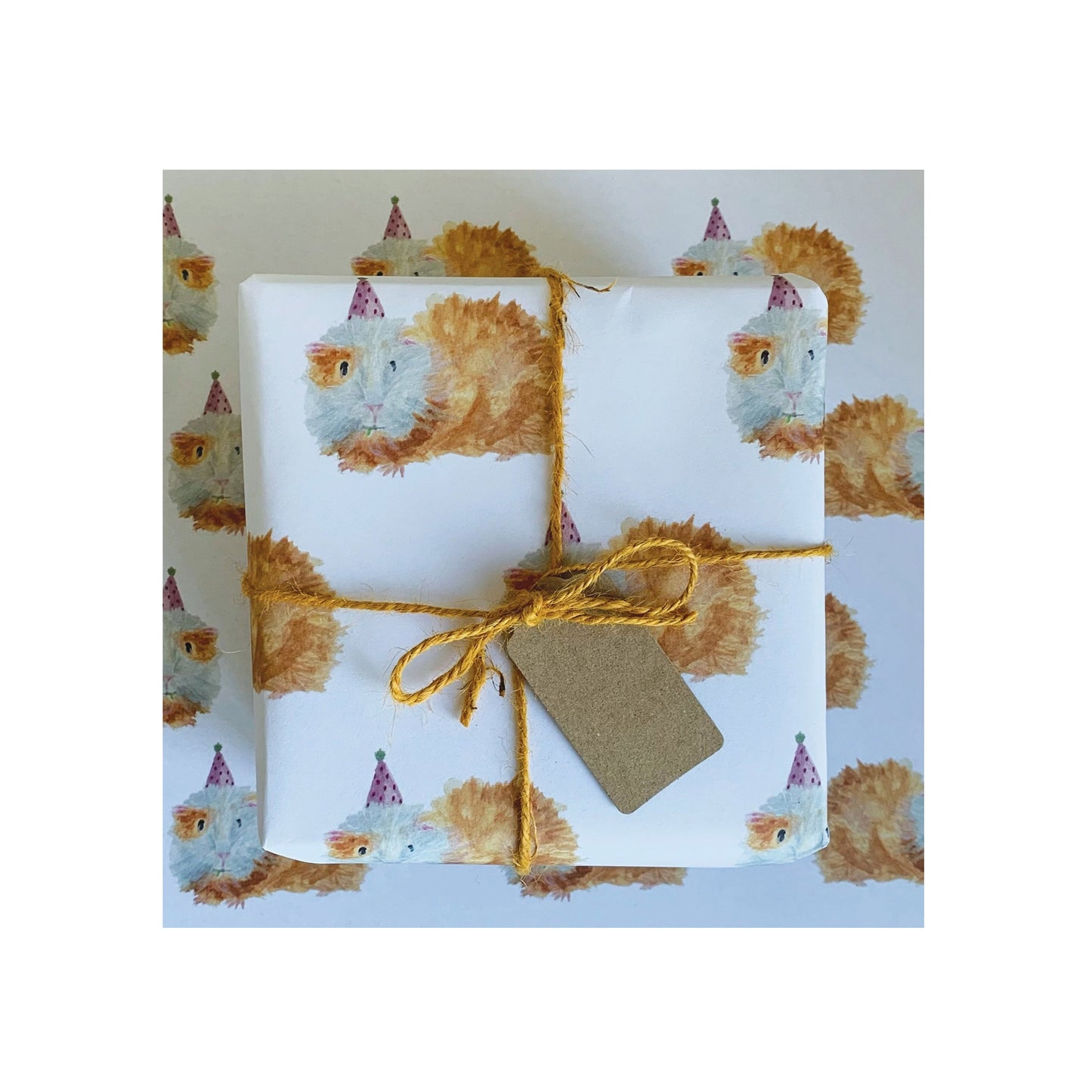 Party Guineapig Gift Wrap