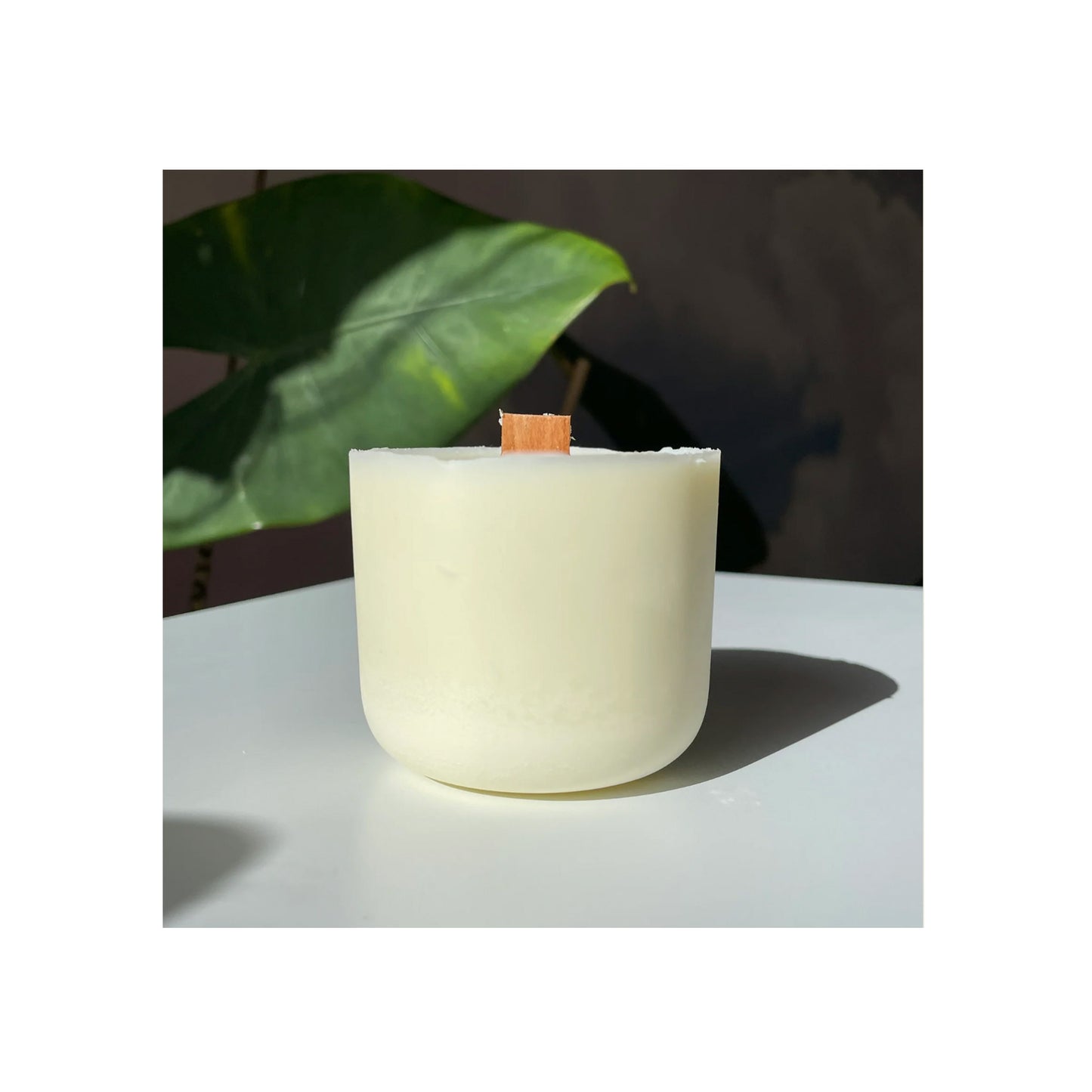 Japanese Cherry Bark & Sakura Candle