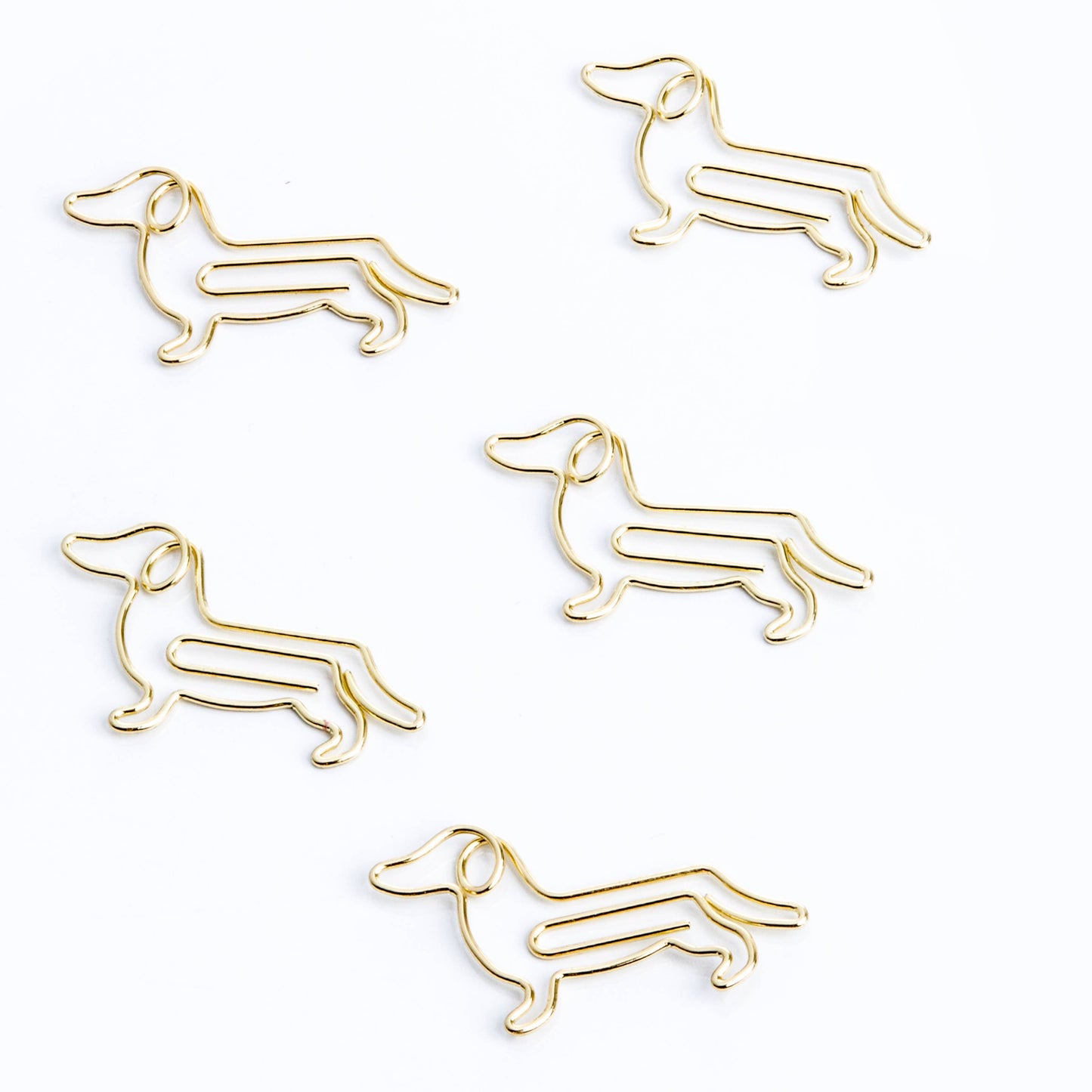 Paper Clips Cats, Dog, Space & Cactus