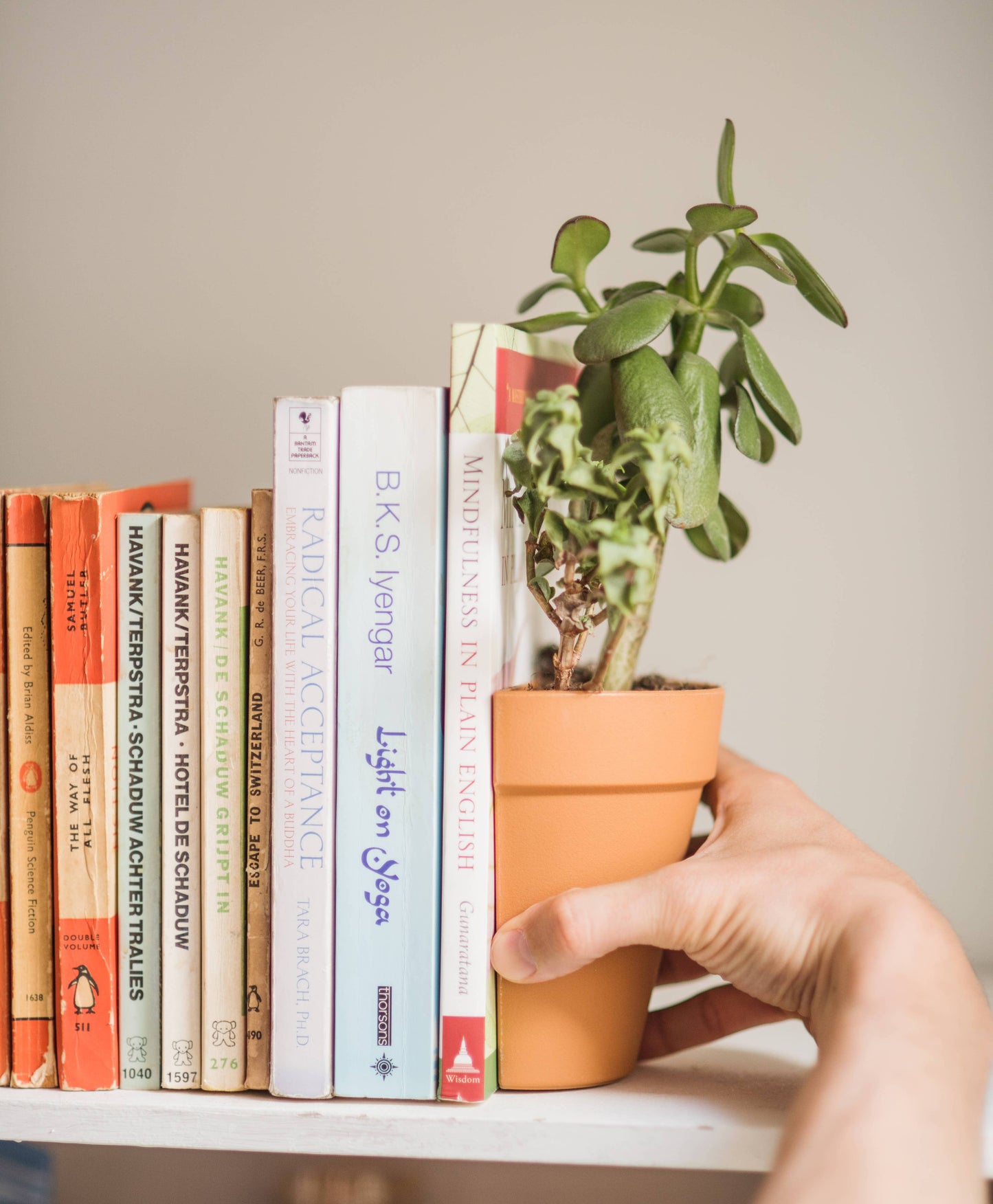 Plant Pot Bookends