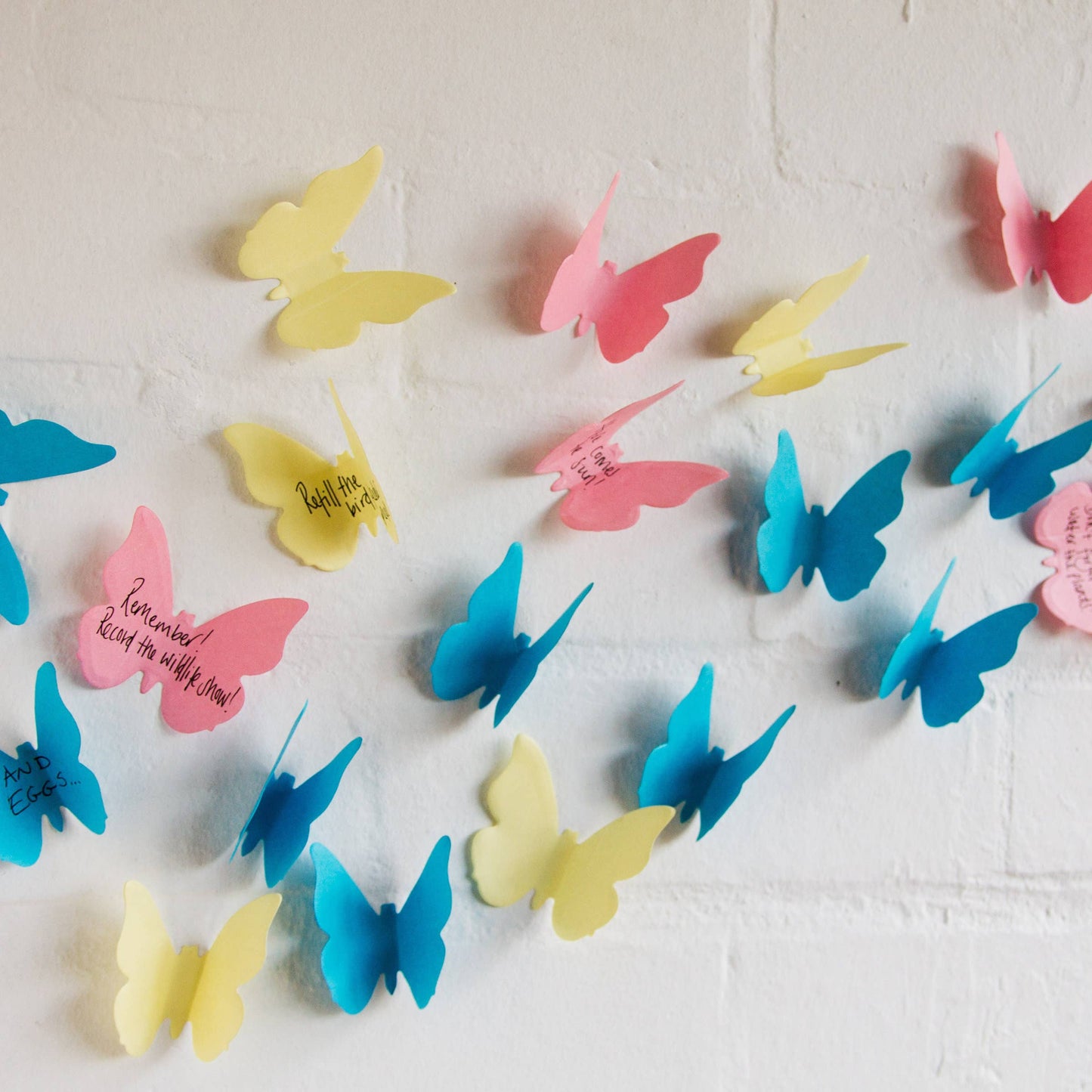 Sticky Notes Butterfly - Specimen Box