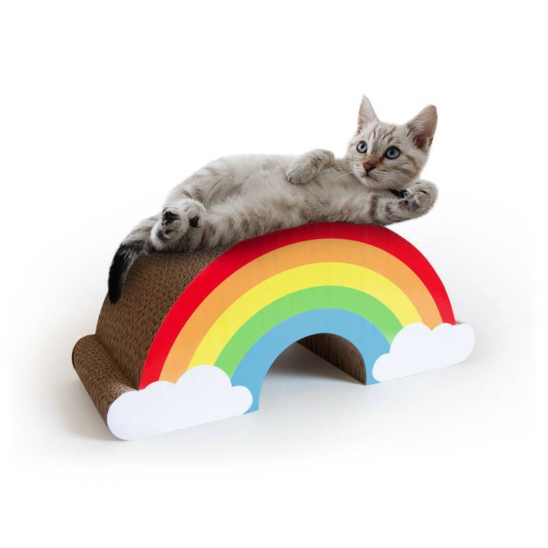 Catch Scratch Rainbow – For Colourful Playtime!