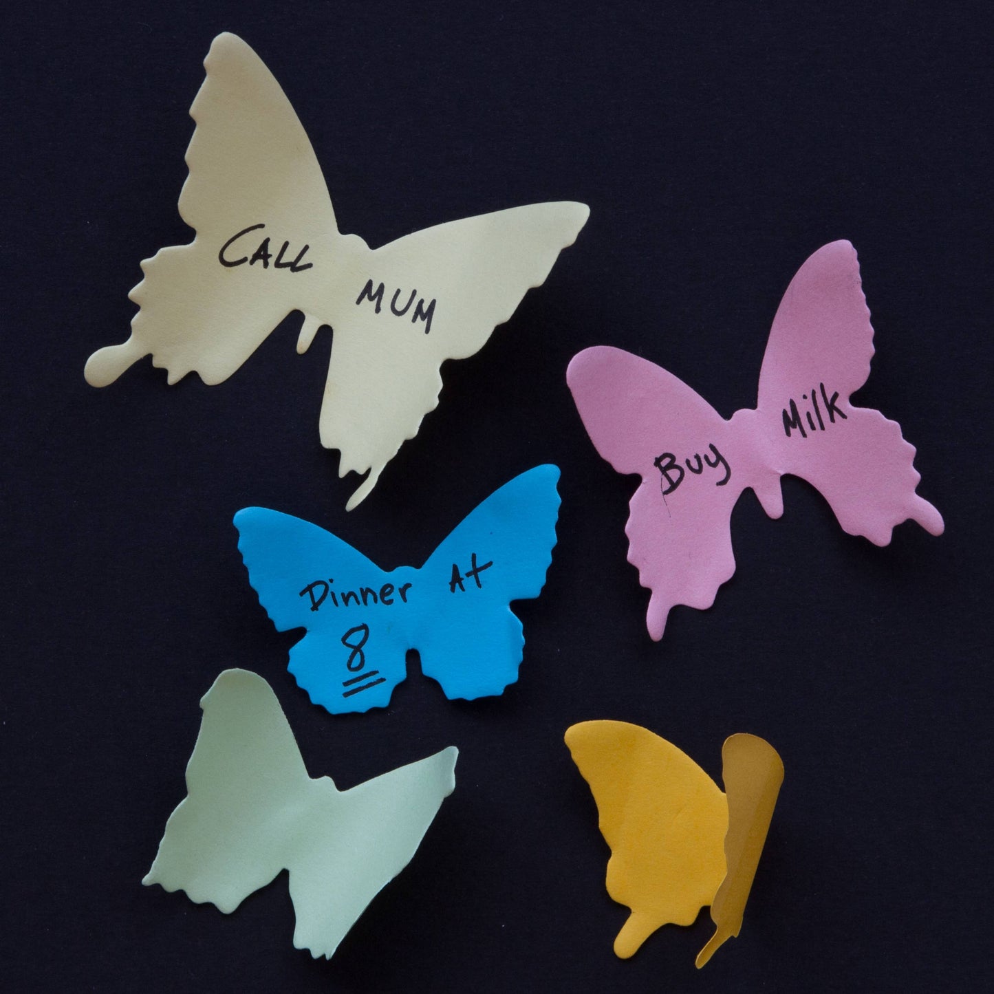 Sticky Notes Butterfly - Specimen Box