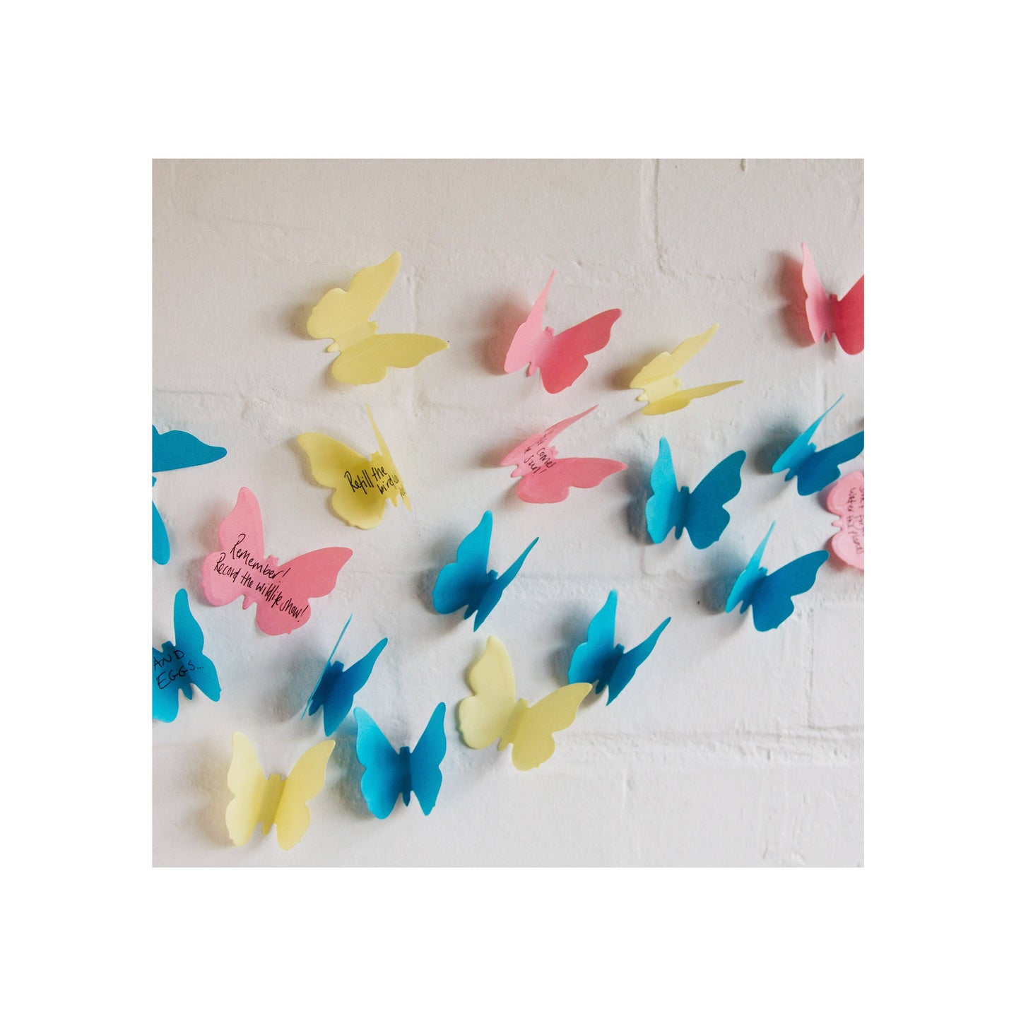 Butterfly Sticky Notes - Specimen Box