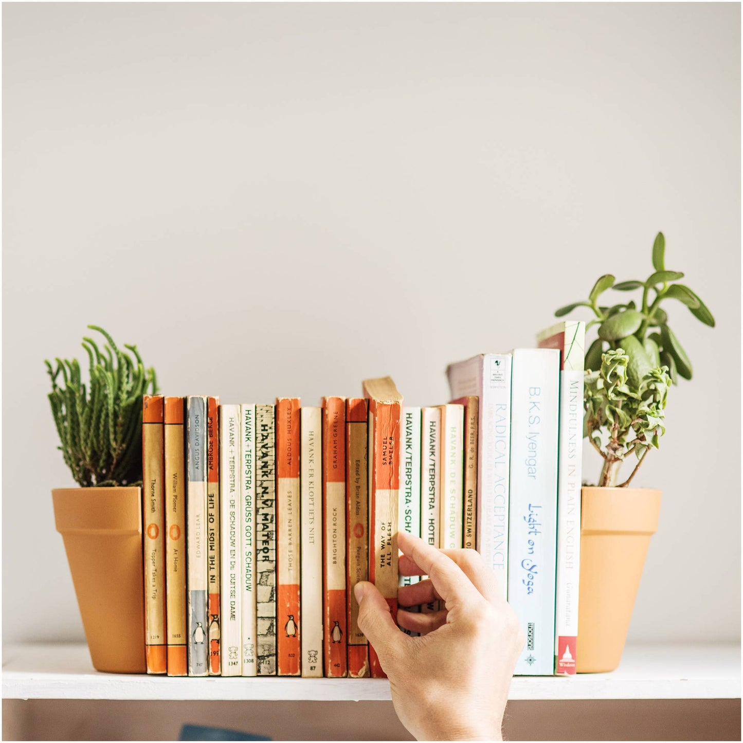 Plant Pot Bookends