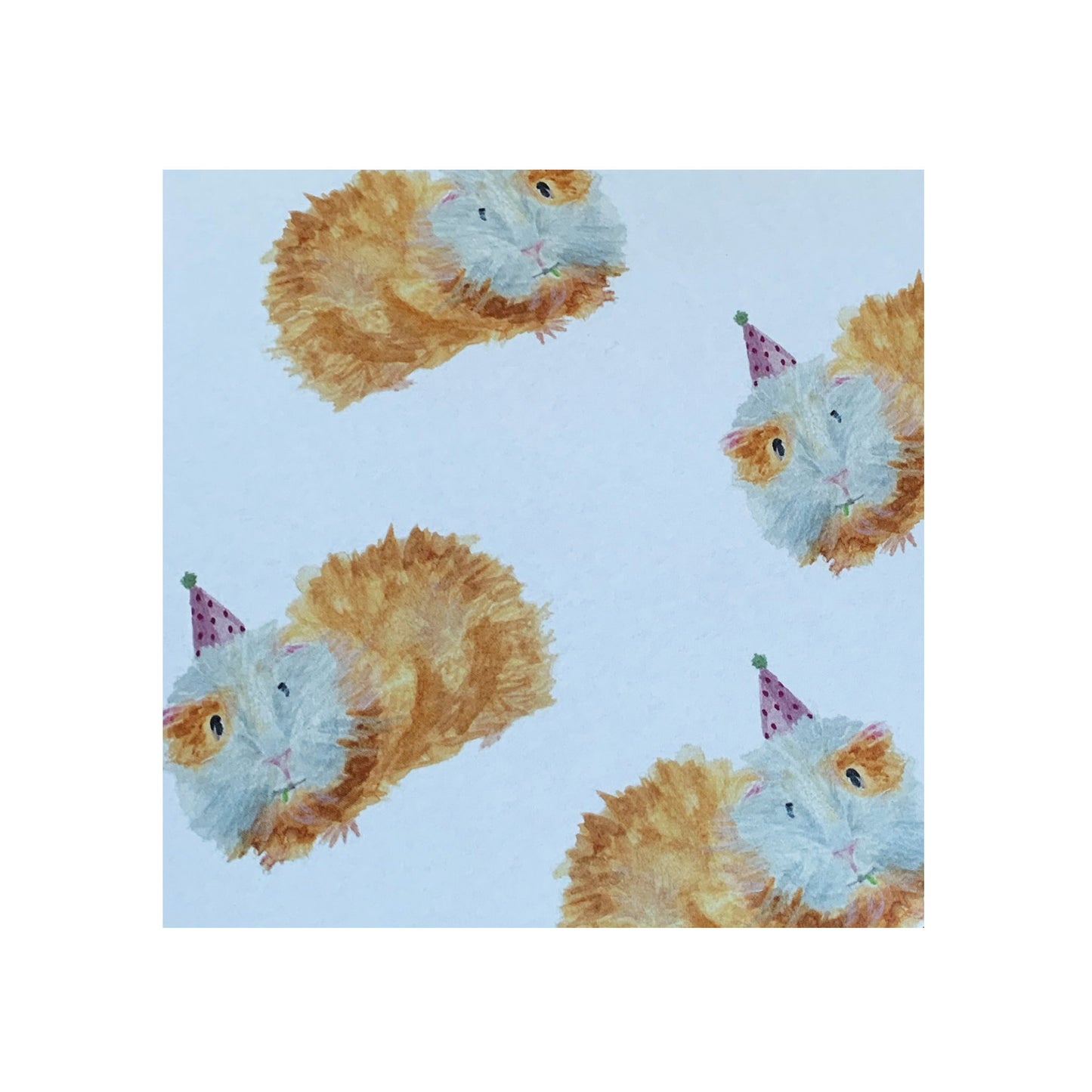 Party Guineapig Gift Wrap